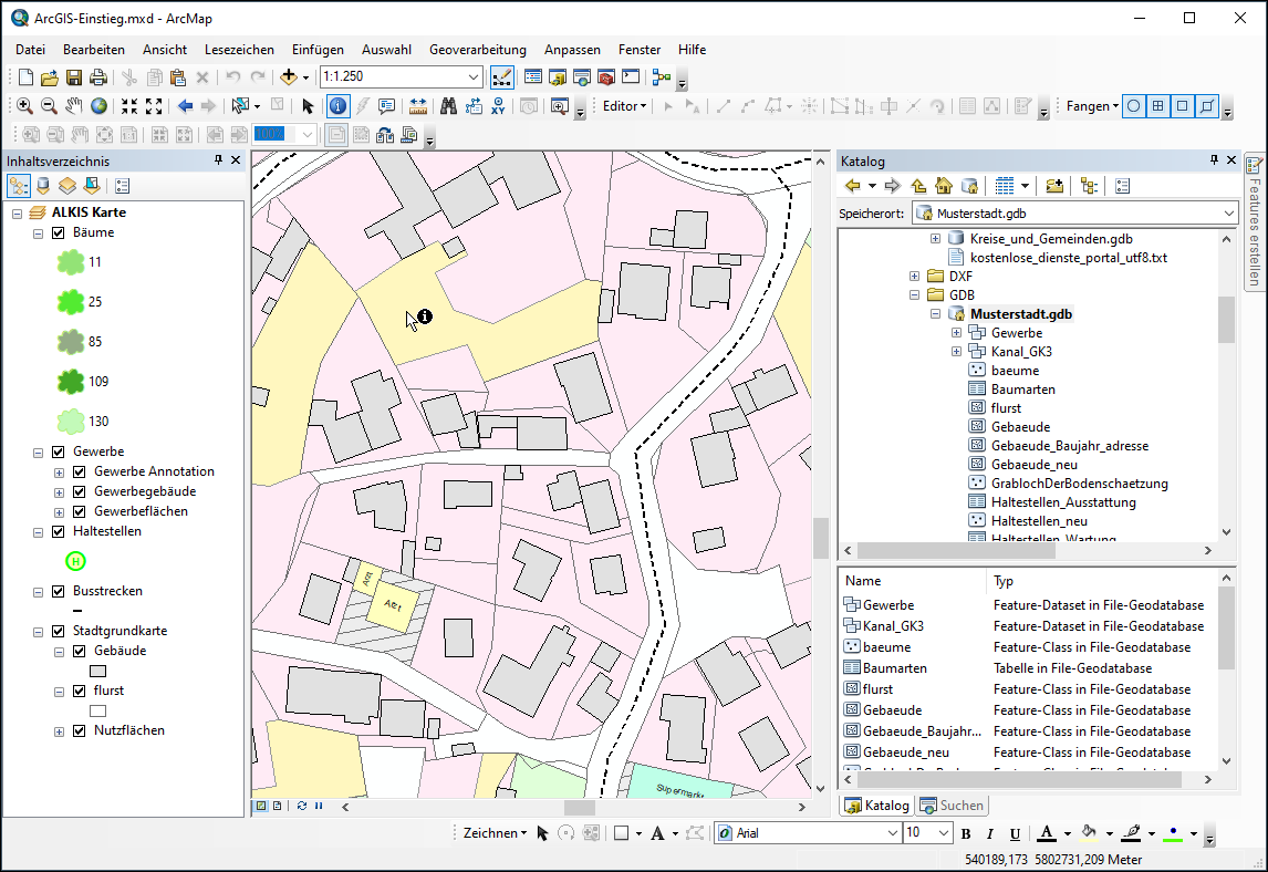 ArcGIS Desktop: Einstieg in ArcGIS - Essen - 03.-05.06.2025